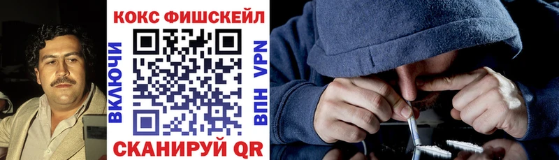 Что такое Дмитров ГАШ МЕФ