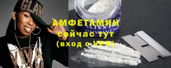 мдпв Богородск