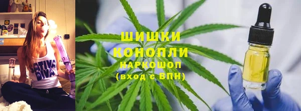 мдпв Богородск