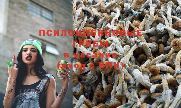 дистиллят марихуана Богородицк