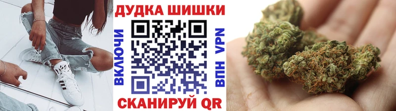 где найти наркотики Дмитров Бошки Шишки OG Kush